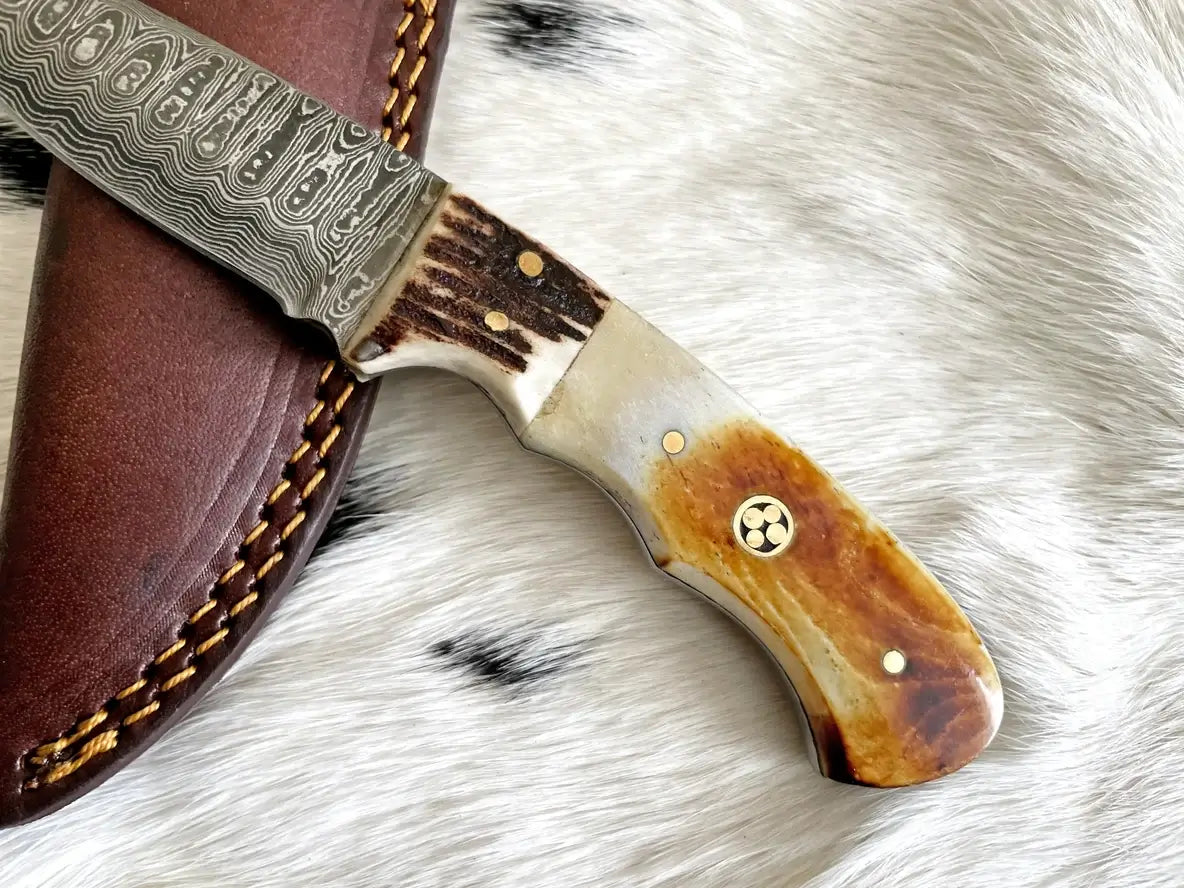 Camping Knife Damascus Steel Burnt Bone & Walnut Knife