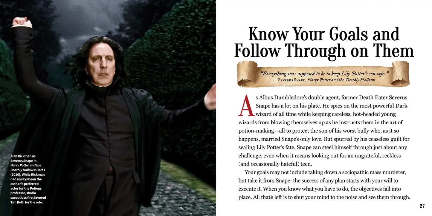 Books Harry Potter What Would Harry Do?