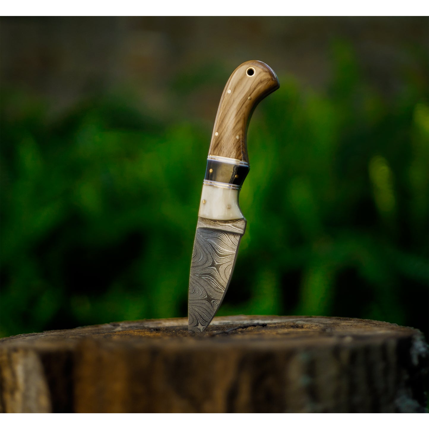 Olive Wood And Bone Skinner