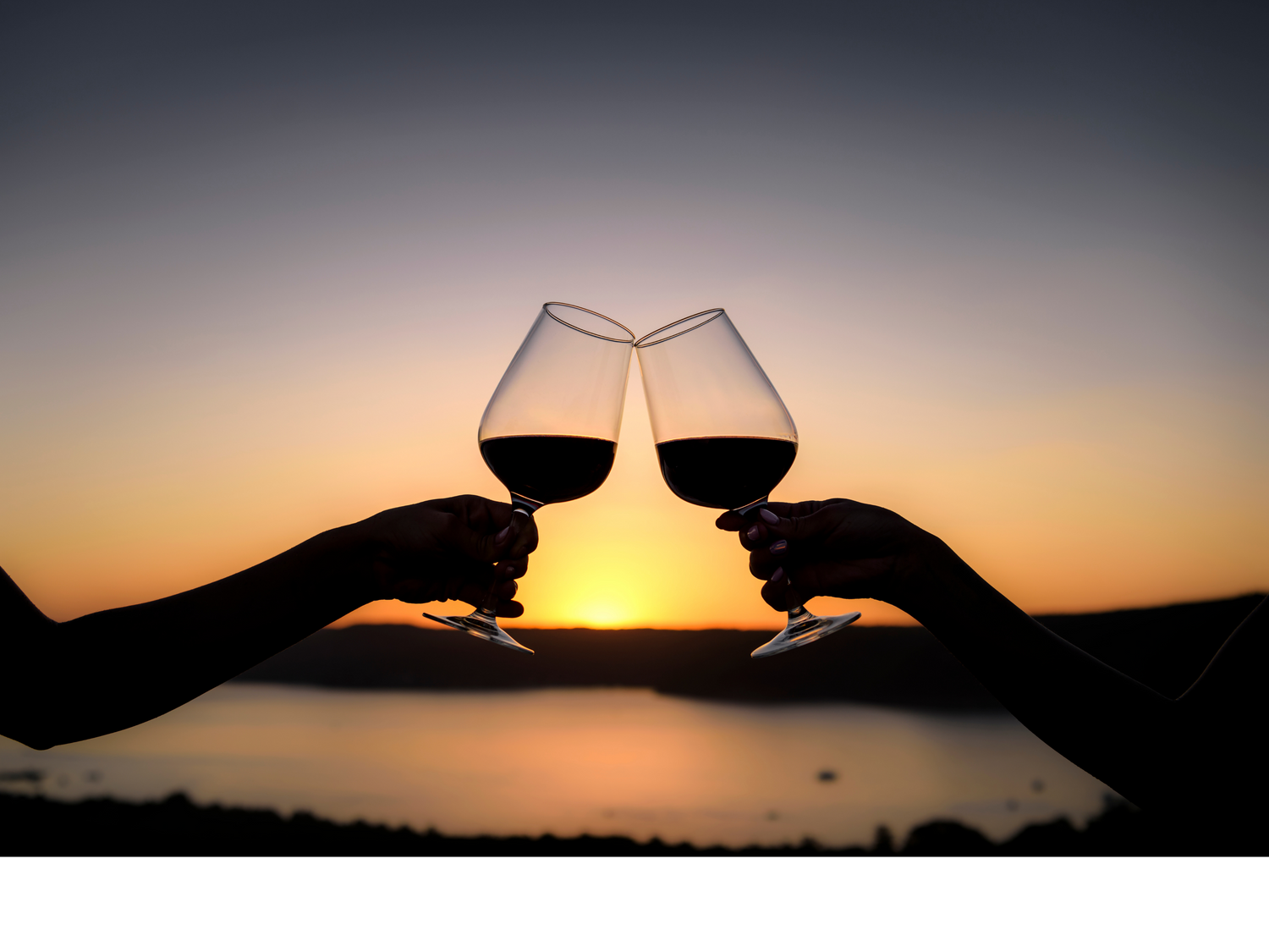 Bar & Wine Accessories