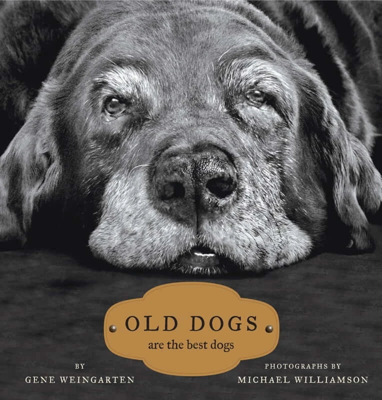Cover of the book 'Old Dogs are the Best Dogs' featuring photography and focused on Books about dogs.