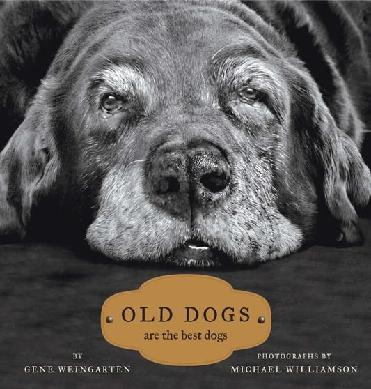 Cover of the book 'Old Dogs are the Best Dogs' featuring photography and focused on Books about dogs.