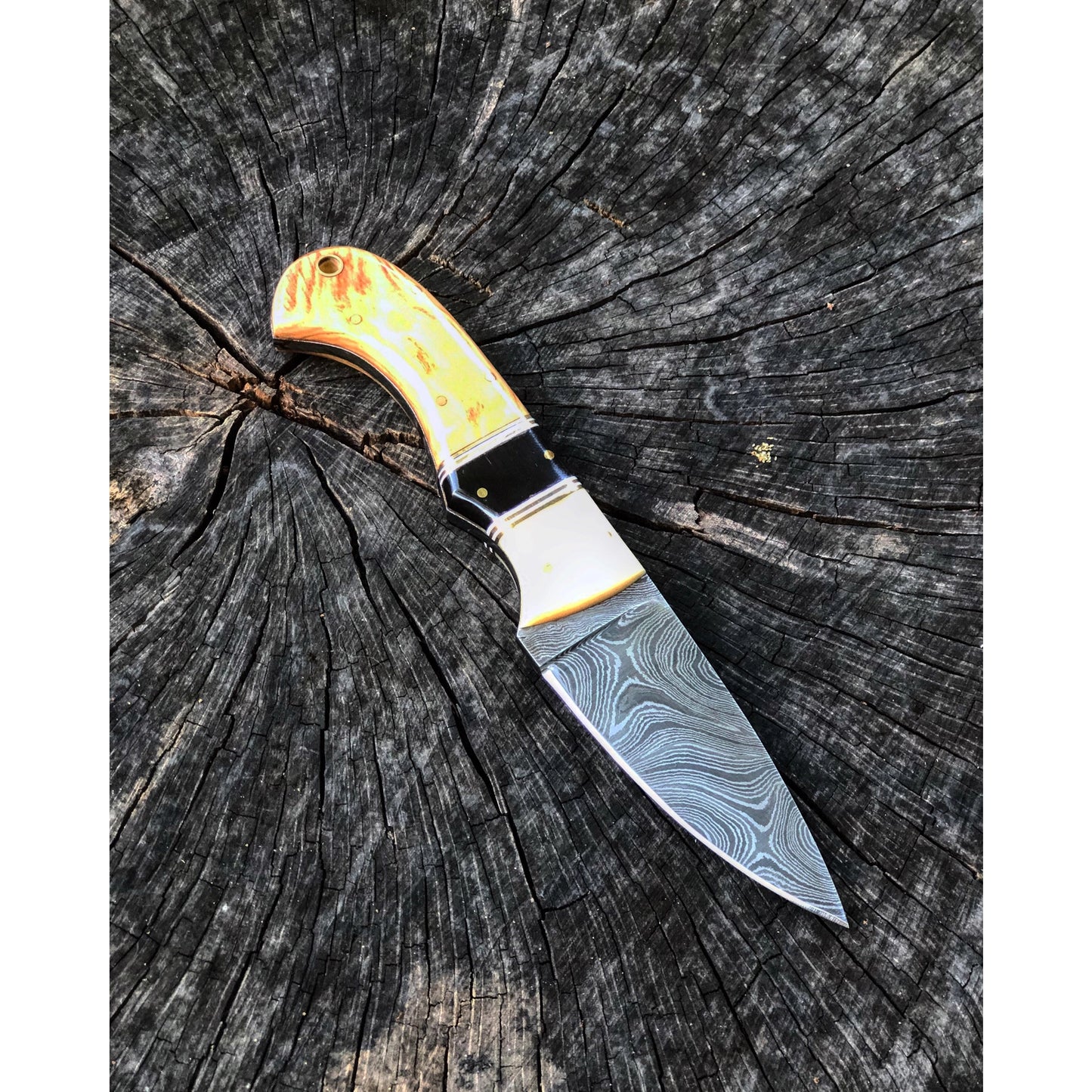 Olive Wood And Bone Skinner